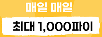 매일 매일 최대 1000 파이